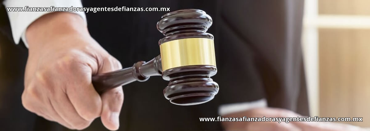 Fianzas de Daños y Perjuicios